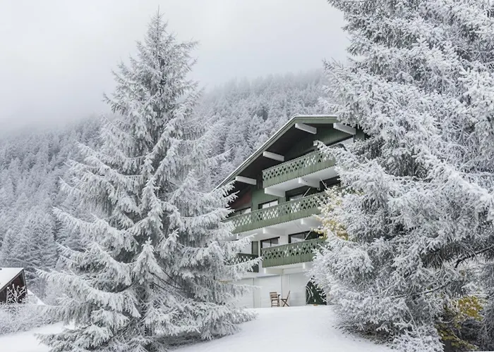 Montana 3 - Happy * Chamonix